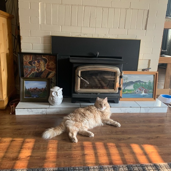 Meet your Posher, Lola - Picture 8 of 11